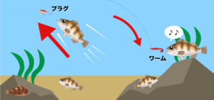 ●「ワーム」は魚の居場所に入れる●「プラグ」は魚から来てもらう